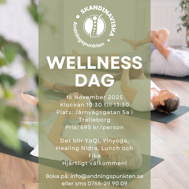 Wellnessdag 16 nov 2025-60pr